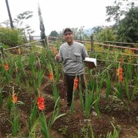Ilhamy Arief