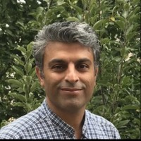 Hamed Hamidi
