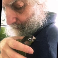 Amit Green