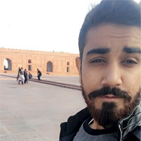Hamza Malik