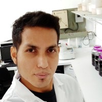 Ricardo Aponte Borges