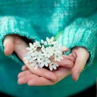 nouran diab