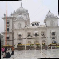 Krishna Singh