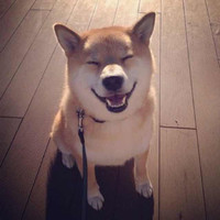 Smilent Lee