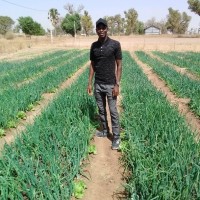 Boubacar FALL