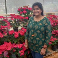 Nirmala Krishna Laxmi