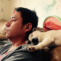 Fred Yu