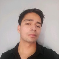 Raúl Sebastián Higareda Soto