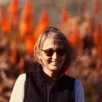 Paula Willmore