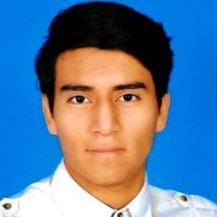 Julio Ernesto Cedillos Arana