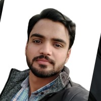 Muhammad Nauman Majeed