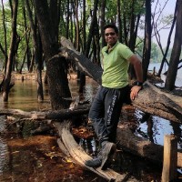 Shashank Kawle