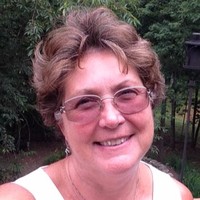 Robin Damico