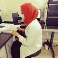 Hiba Abdulwahab