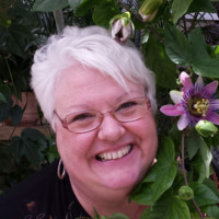 Ann Bartig