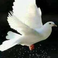 semira jemal Abdulkadir