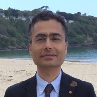 Professor Huseyin Seker
