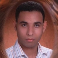 Mostafa Abdelhaq