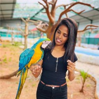 Sangeetha S