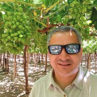 Mauricio Noli Tiska