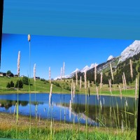 Sandrine Cottereau -