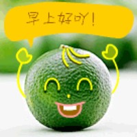 朱豪杰