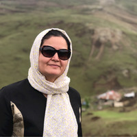 Mehrnoosh Atashfaraz, Ph.D.