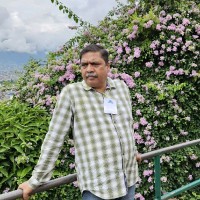 Ravi Shanker