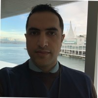 Hamed Malekidehka