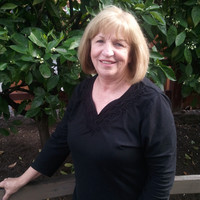Judy Shelton
