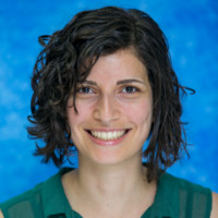 Orr Cohen