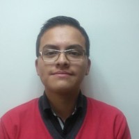 Daniel Stiven Puin