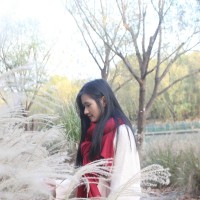 Kitty Yan