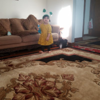 Alaa Alzameli