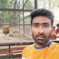 Manoj Kumar Vv
