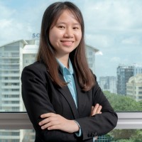 Vu Vi Vu Nguyen