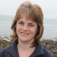Donna Ritch