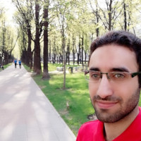 Seyed Hasan