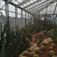 陈国武