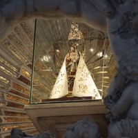 Wildes Ney S, Cardoso