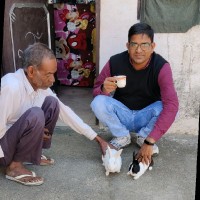 Rajesh Luhaniwal
