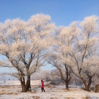 张爱兰