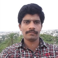 Ramesh P M