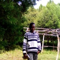 Anas Nuree