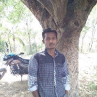 Mkreddy Y