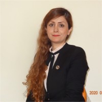Somayeh Karimi