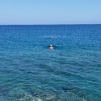 Annarita Hadjigavriel