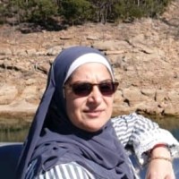 Arige Sukkarieh