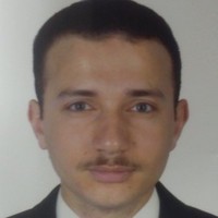 Moustafa I. Eldysouky