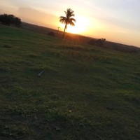 Ronaldo Soares Dos Santos